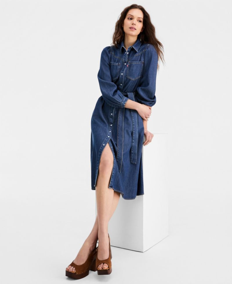Premium Women's Point Collar Long-Sleeve Dress
