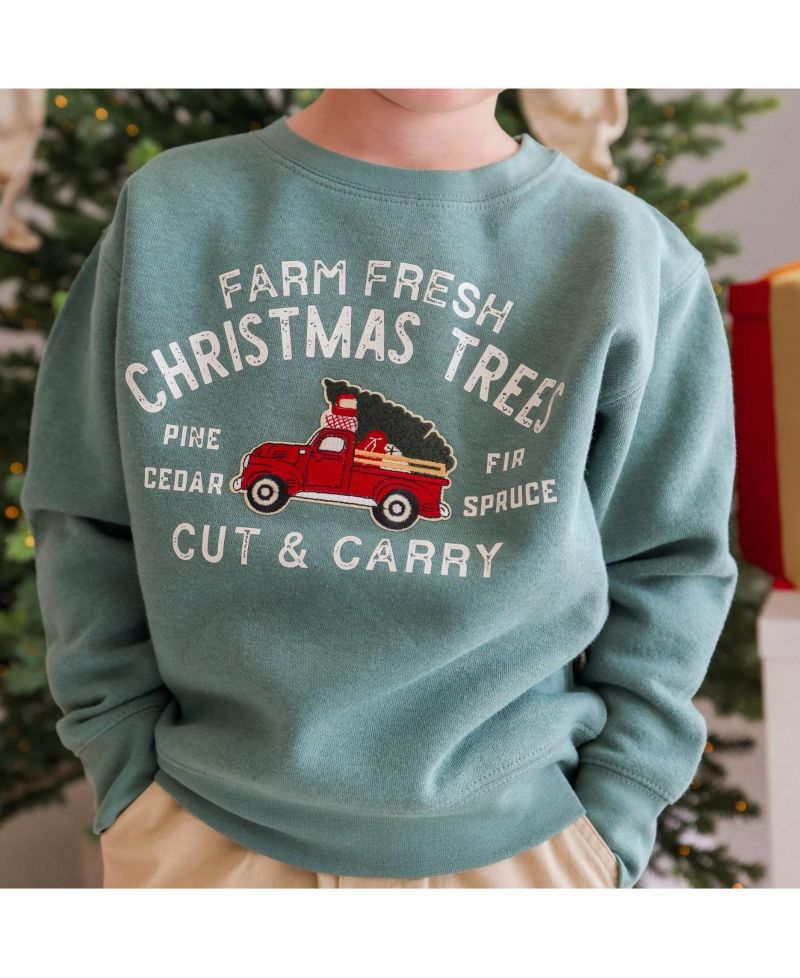 Boys' 4-20 Farm Fresh Christmas Tree Patch Sweatshirt