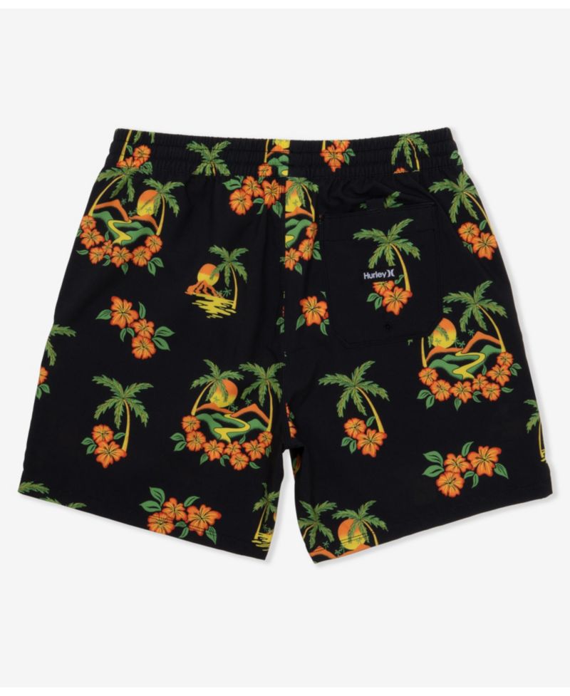 Men's Cannonball Volley 17 Boardshorts