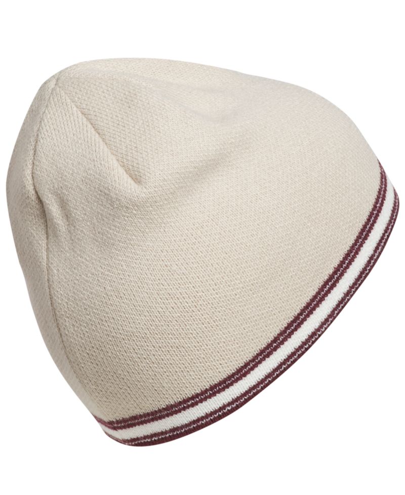 Men's Stripe Skully Beanie