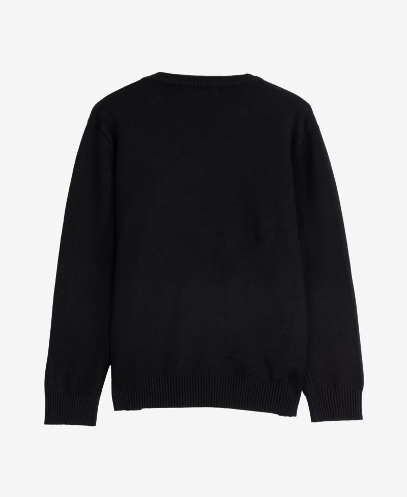 Boy's Basic V-Neck Sweater