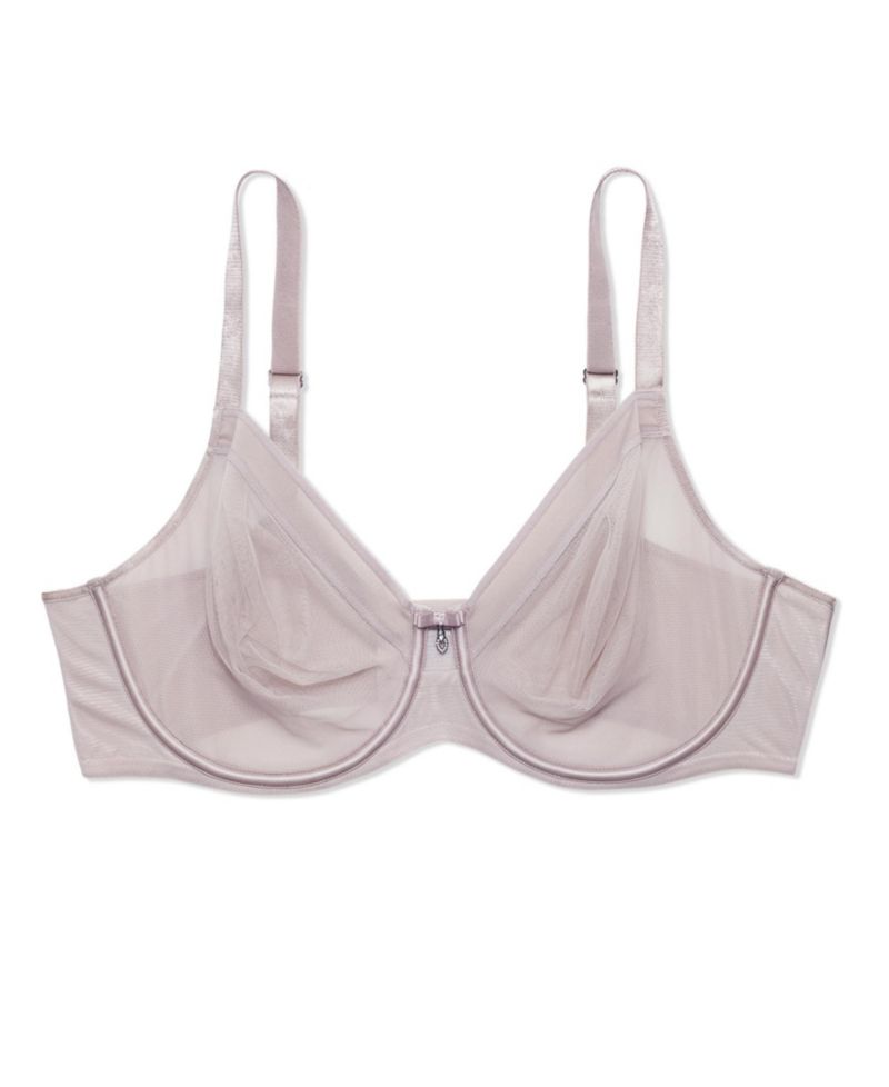 Women's Sheer Mesh Full Coverage Unlined Underwire Bra