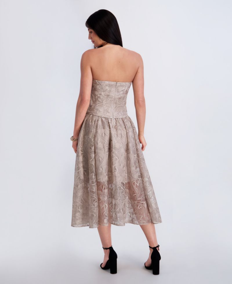 Women’s Embroidered Mesh Midi Dress