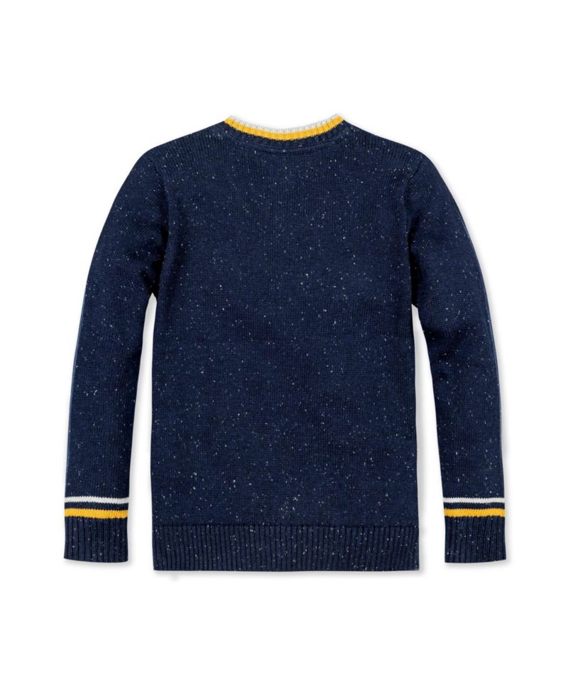 Baby Boys Hope and Henry Long Sleeve V-Neck Sweater