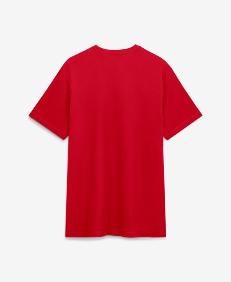 Men's Scarlet Ohio State Buckeyes Sideline Legend Dri-FIT T-Shirt