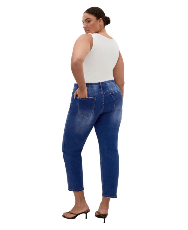 Women's Plus Size Harley Fit Dani Straight Leg Jean