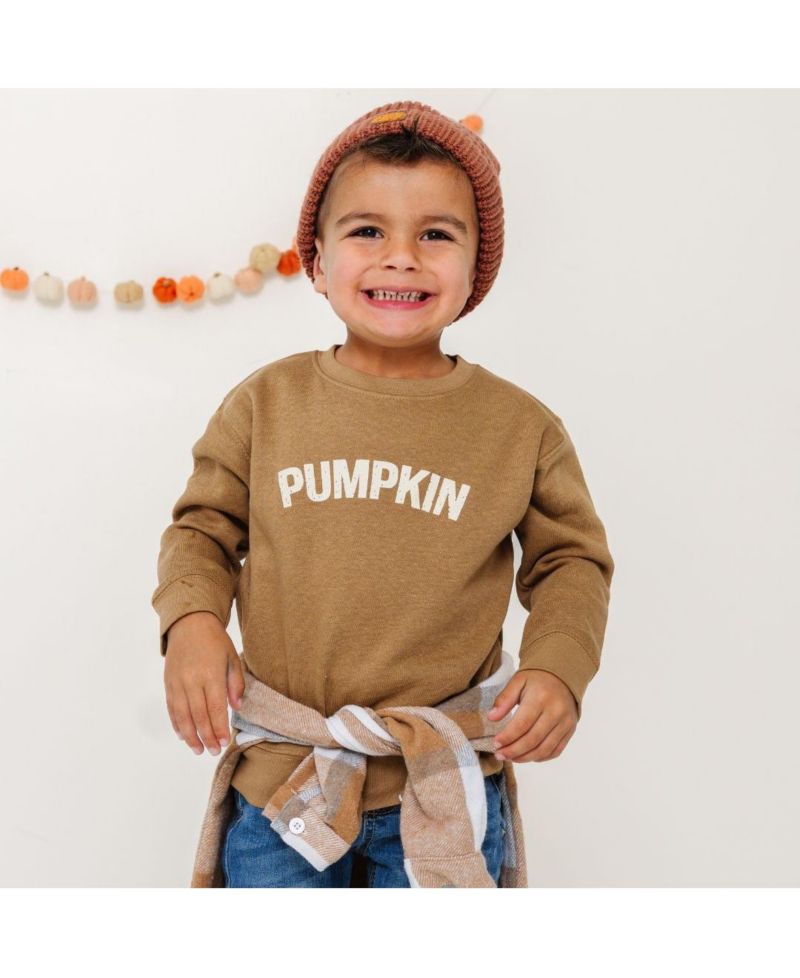 Little and Big Boys Pumpkin Sweatshirt