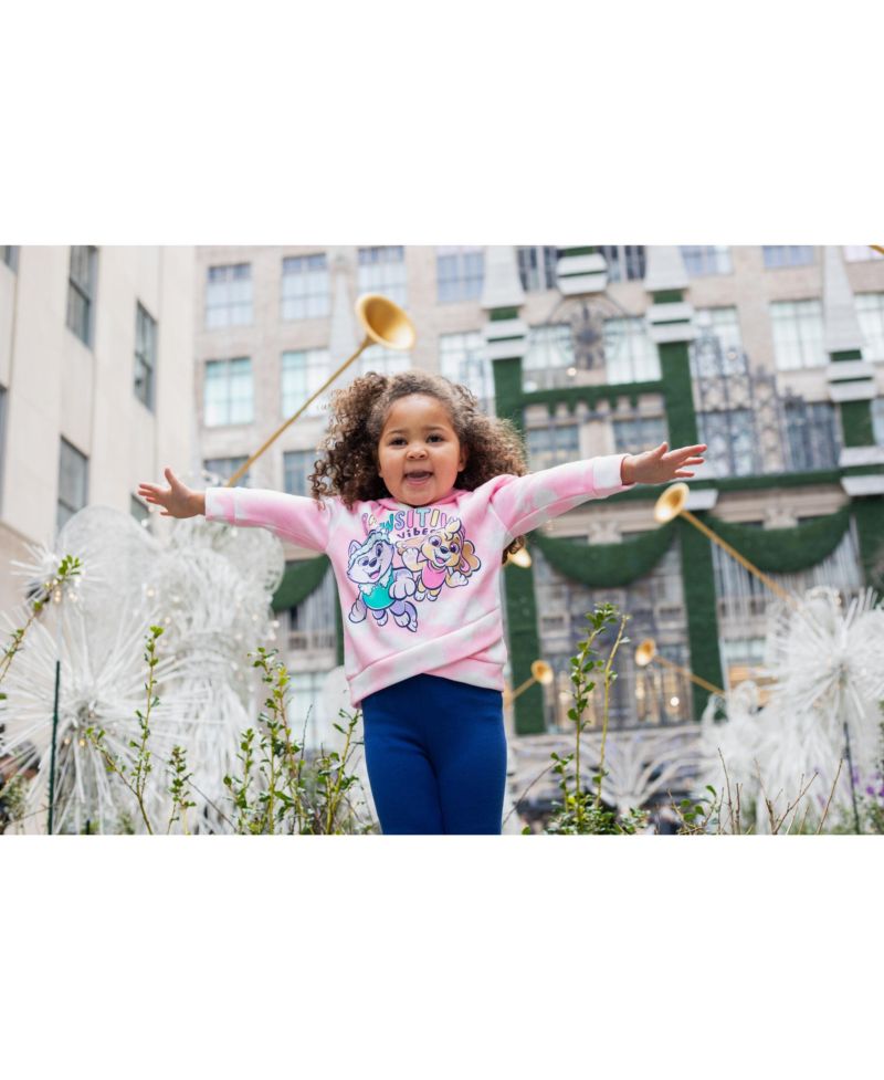Little Girls 2-Piece Fleece Hoodie and Leggings Set