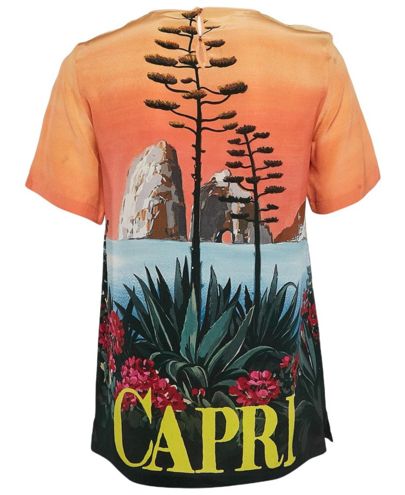 Women's Multicolor Capri Print Silk Top