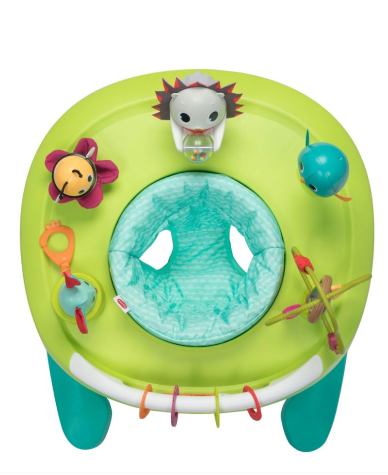 Baby Boys or Baby Girls 4 in 1 Here I Grow Mobile Activity Center