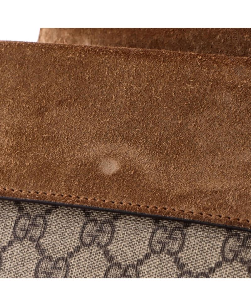 Mini Dionysus Bag GG Coated Canvas