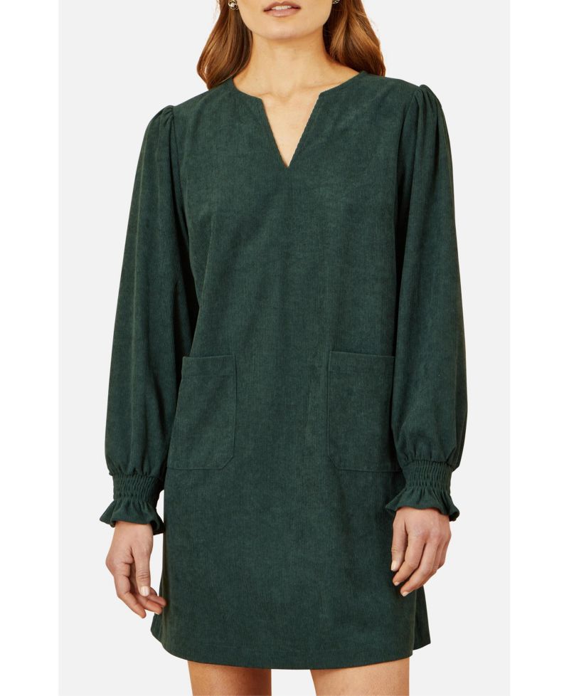 Women's Long Sleeve V-Neck Mini Dress