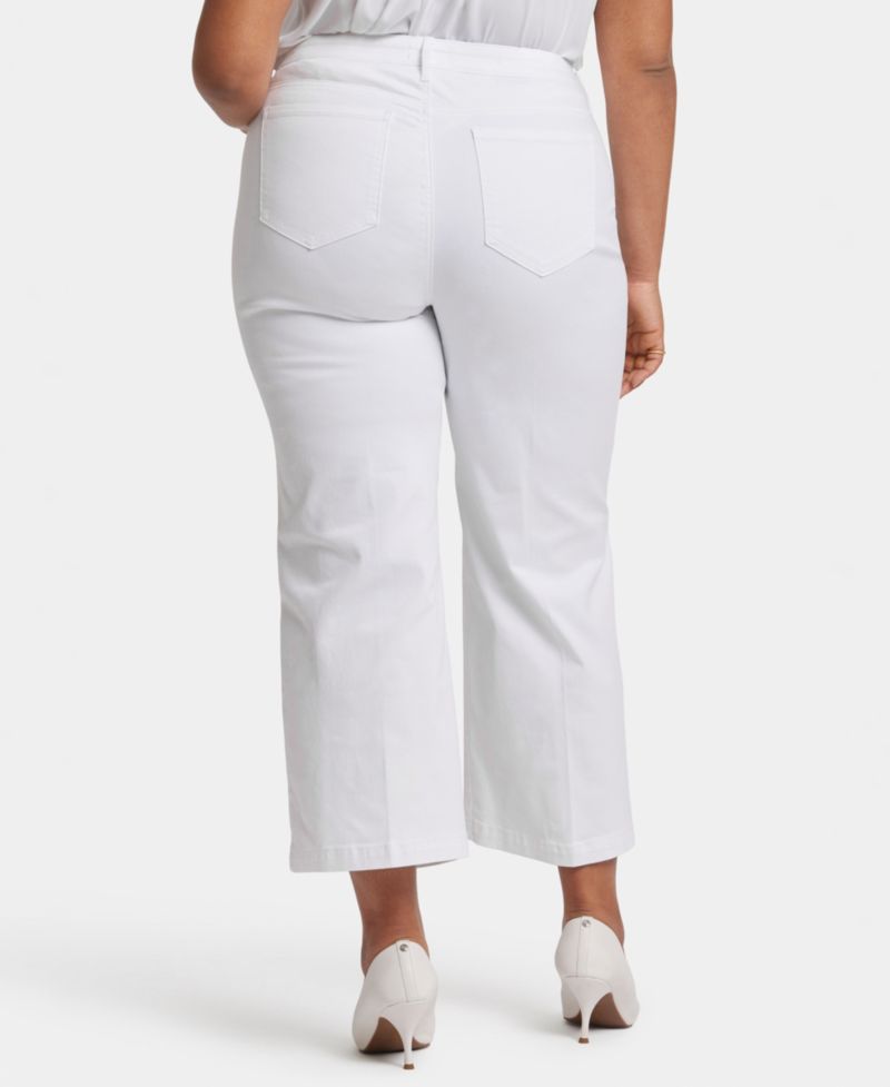 Plus Size Teresa Wide-Leg Ankle Jeans