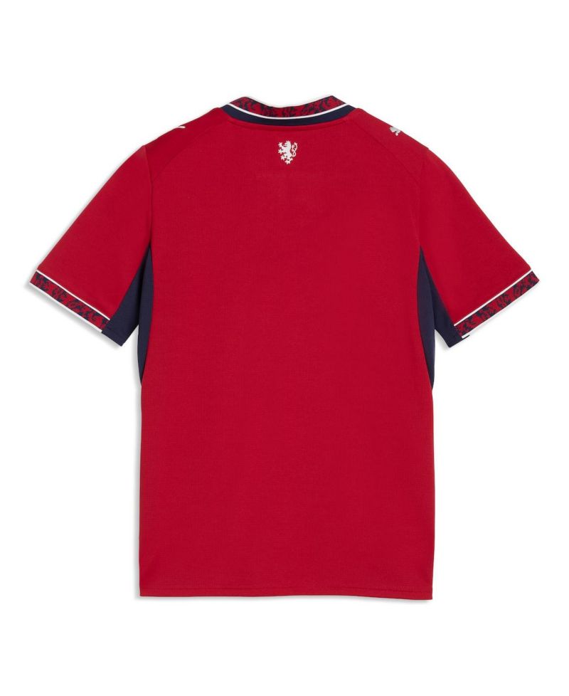 Big Boys and Girls Red Czech Republic National Team 2026 Home Replica Jersey