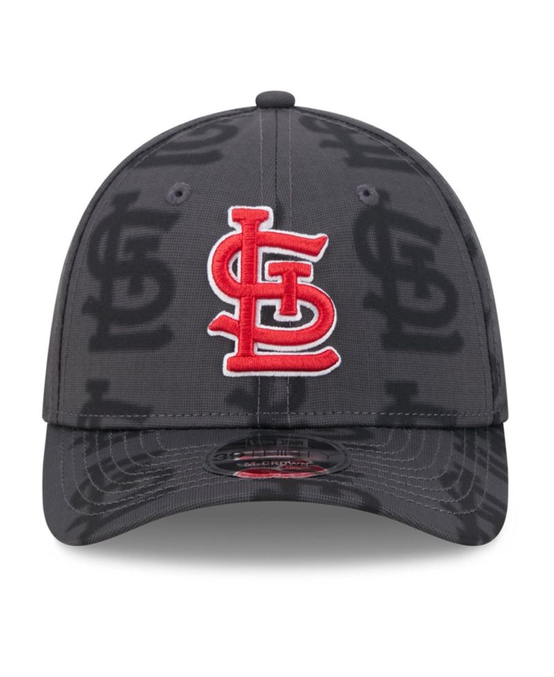 Men's Gray St. Louis Cardinals Halftone 39THIRTY Flex Hat