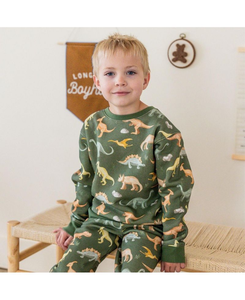 Big Boys (10-12) Dinosaurs Rock Sweatshirt