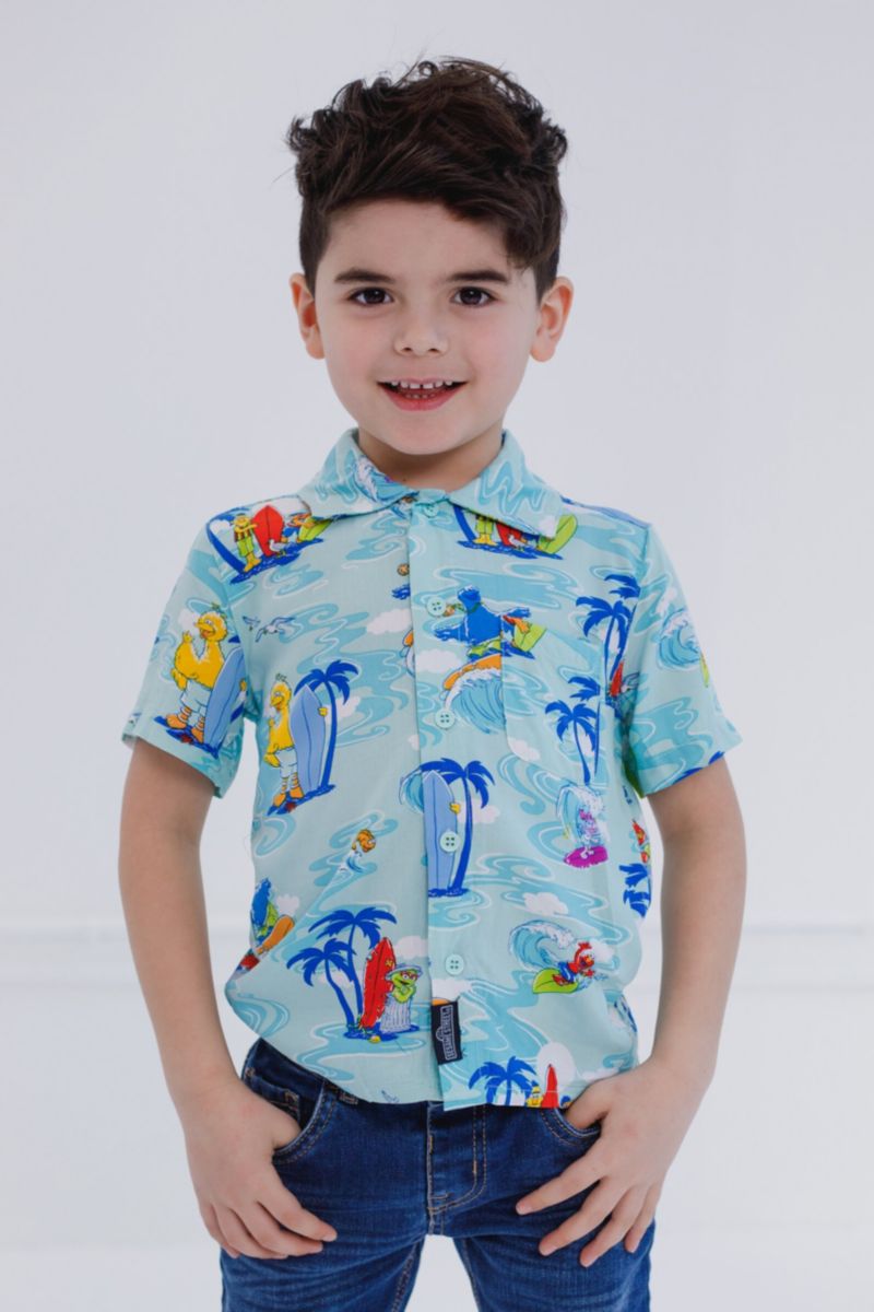 Little Boys (6-8) Bird Cookie Monster Elmo Oscar the Grouch Matching Family Hawaiian Button Down Shirt