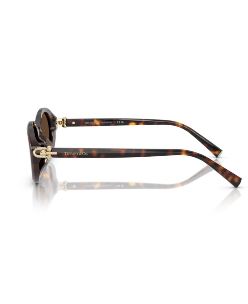 Women's Standard Sunglasses, TF4242D
