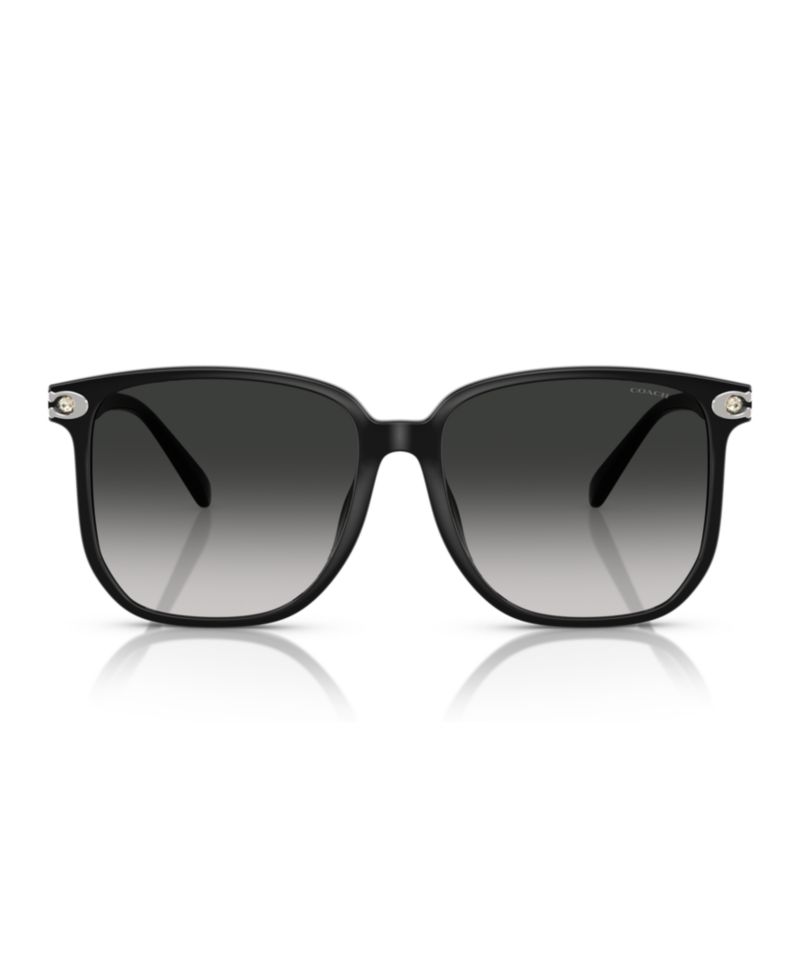 Women's Sunglasses, CW419 HC8413BD