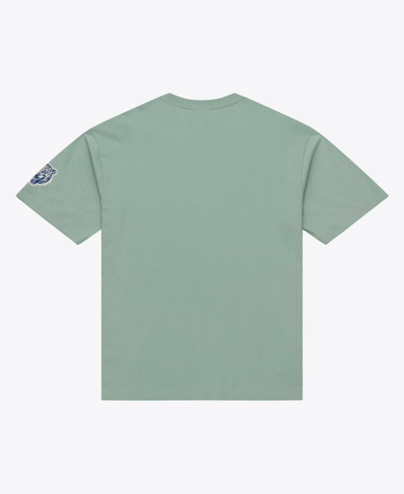 Men's Green Detroit Tigers Yacht Rock T-Shirt