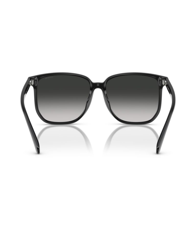 Women's Sunglasses, CW419 HC8413BD