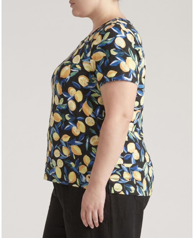 Women's Plus Size Scoop Neck Tee