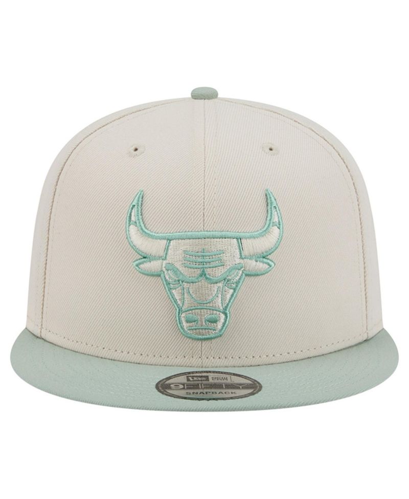 Men's Cream/Light Green Chicago Bulls Color Pack 9FIFTY Snapback Hat