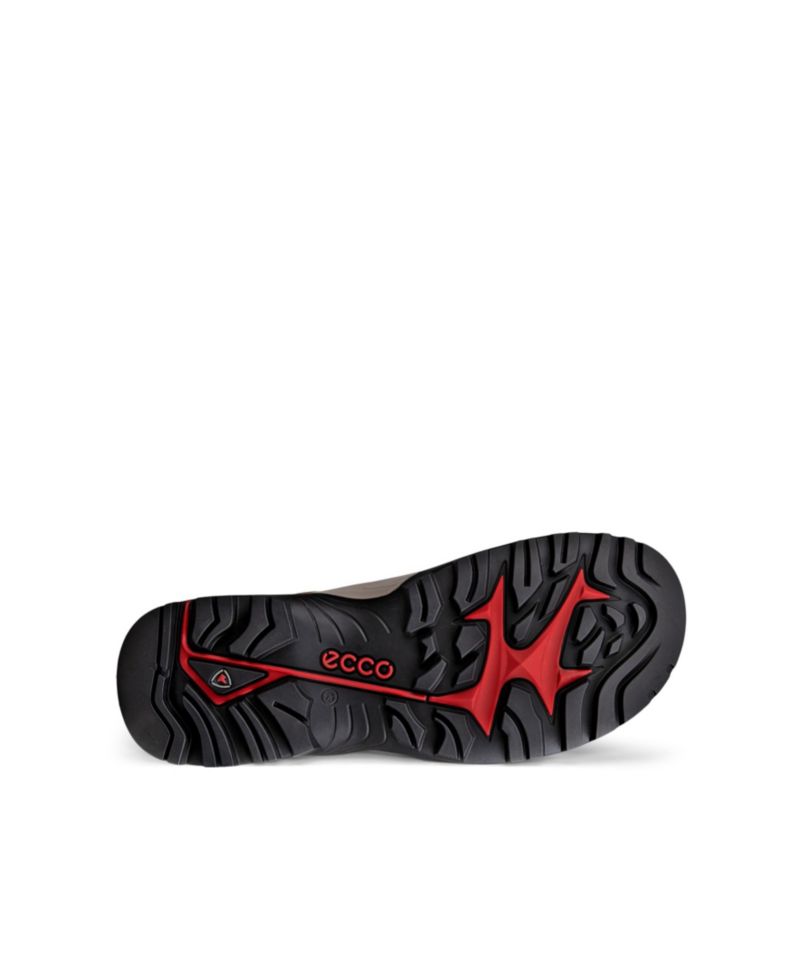 Men's Offroad Pathfinder Trail Sneakers