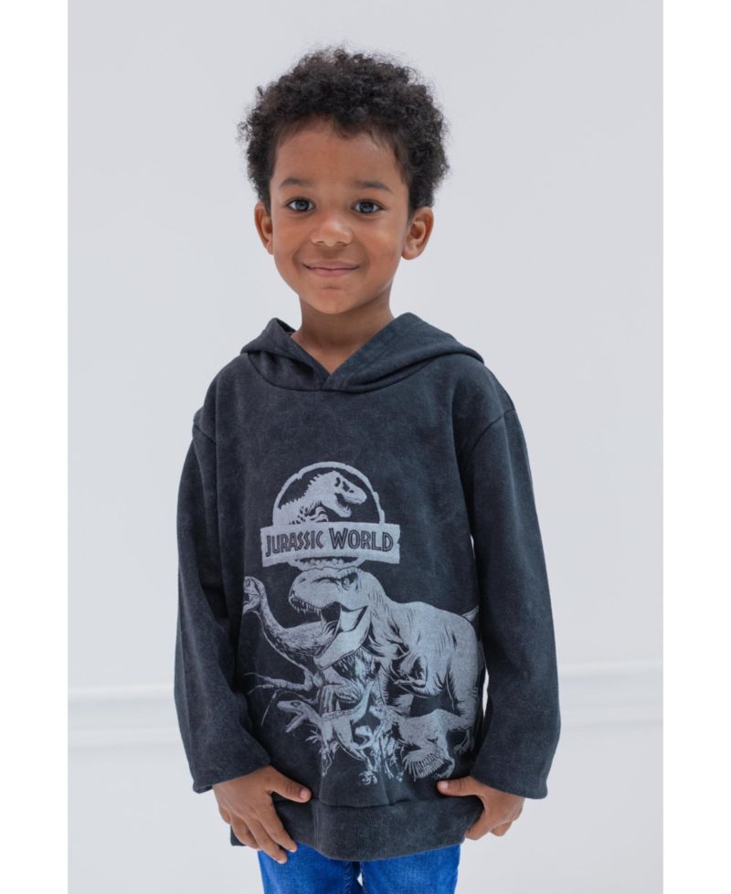Boy's Dinosaur T-Rex Fleece Pullover Hoodie