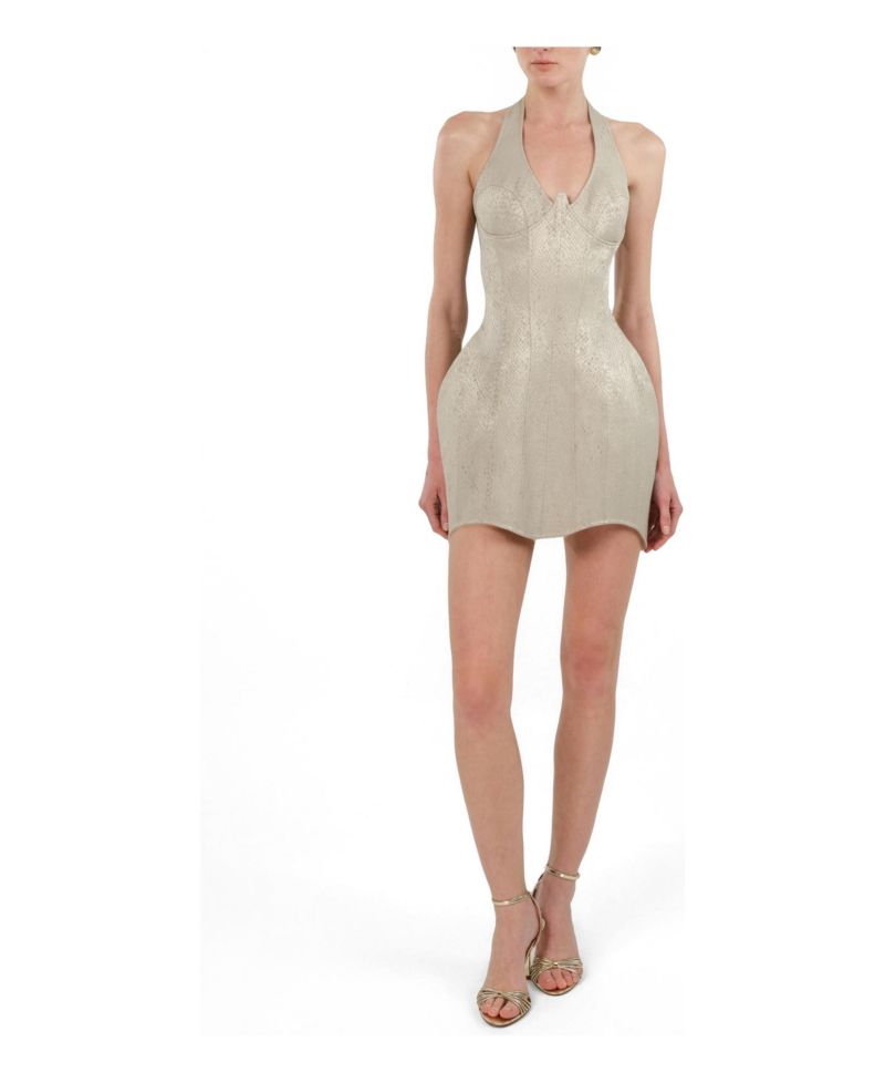 Women's Snake-Print Boned Mini Corset Dress