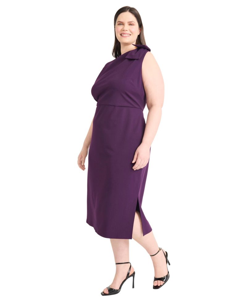 Plus Size Sleeveless A-Line Dress