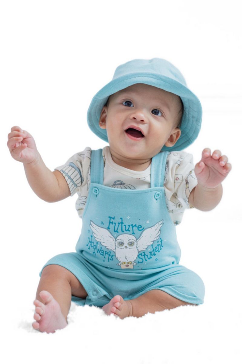 Baby Boys T-Shirt and Shortall Set