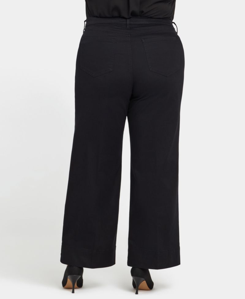 Plus Size Teresa Wide-Leg Ankle Hem Jeans