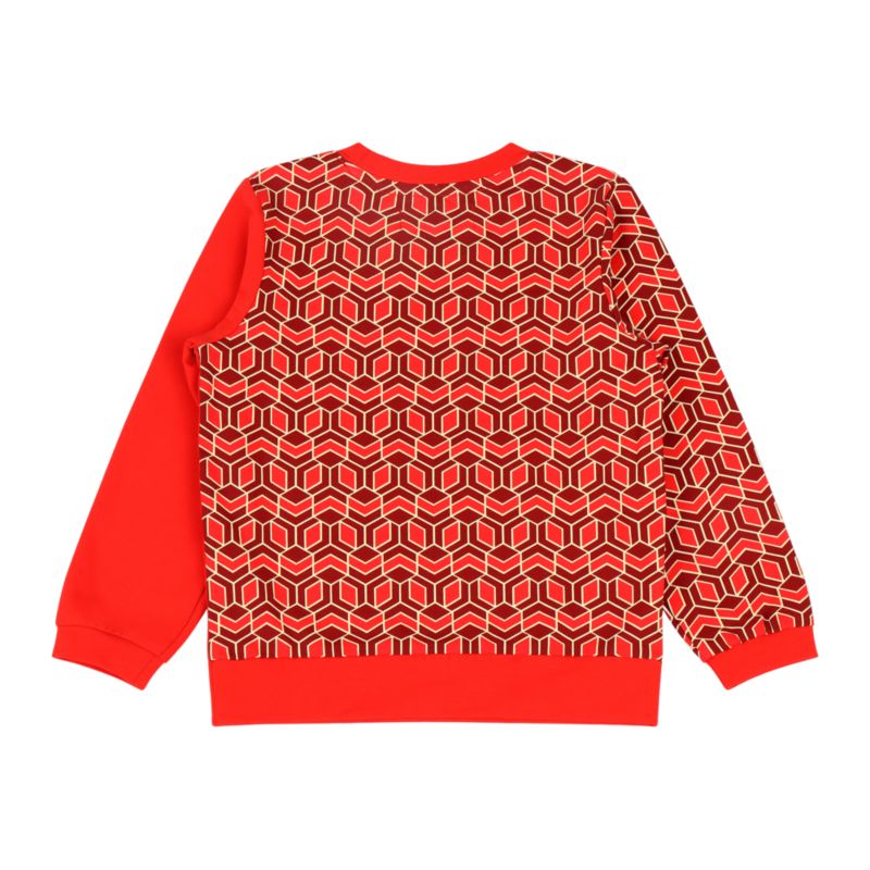 Boys Crewneck Sweatshirt and Jogger Pants Set - Red Multicolor