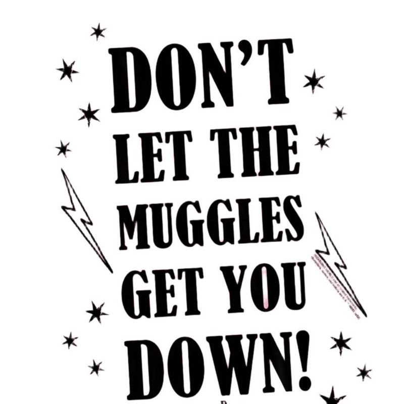 Men's Muggles 1 T Shirt
