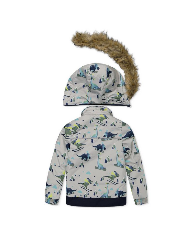 Little Boys 6-8 Two Piece Discover Snowsuit Grey Skiing Dinosaur Print