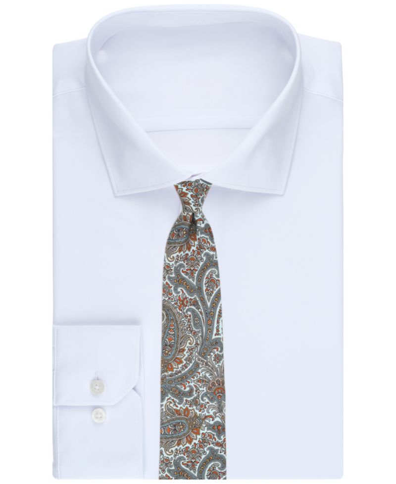 Men's Drew Paisley Tie