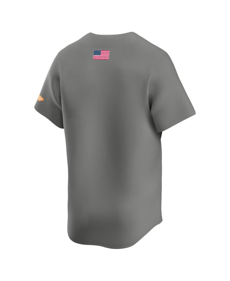 Men's Gray Tennessee Volunteers Alternate Limited Baseball Jersey