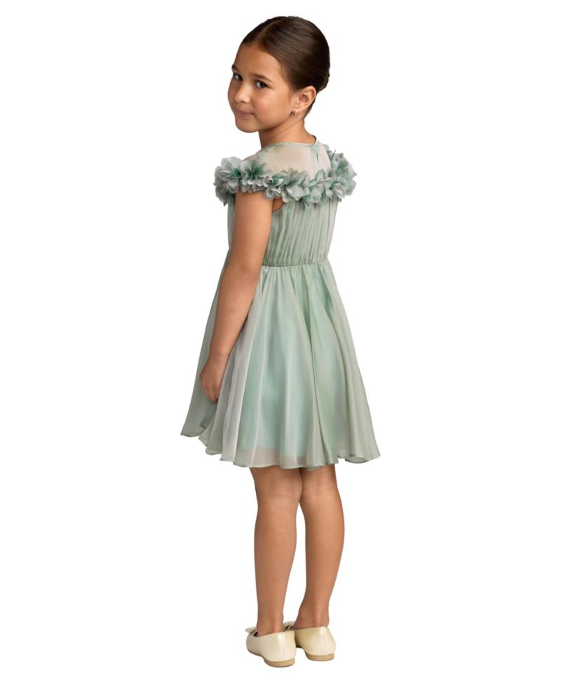 Big Girls Floral Applique Chiffon A-Line Dress