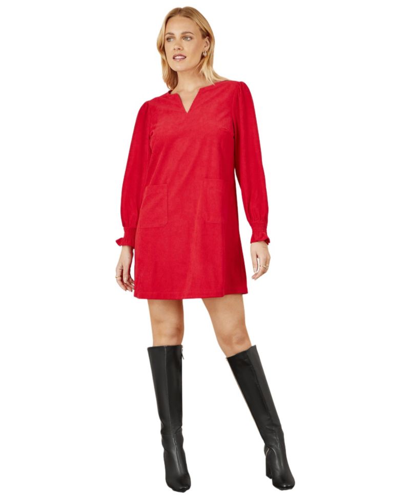 Women's Long Sleeve V-Neck Mini Dress