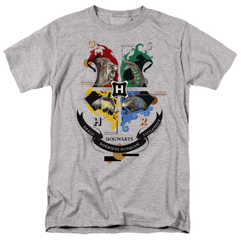Men's Hogwarts Magicial Mischief Level Up Crest T Shirt