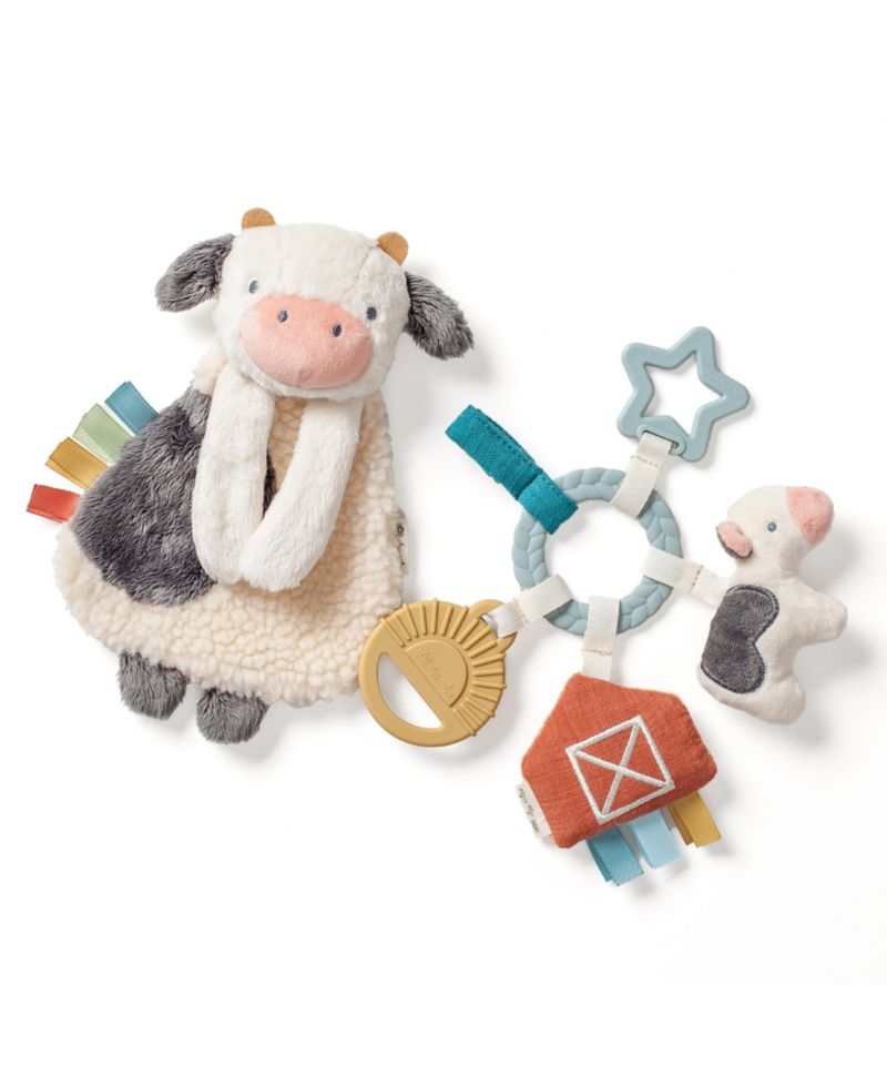 Baby Bitzy Busy Gift Set