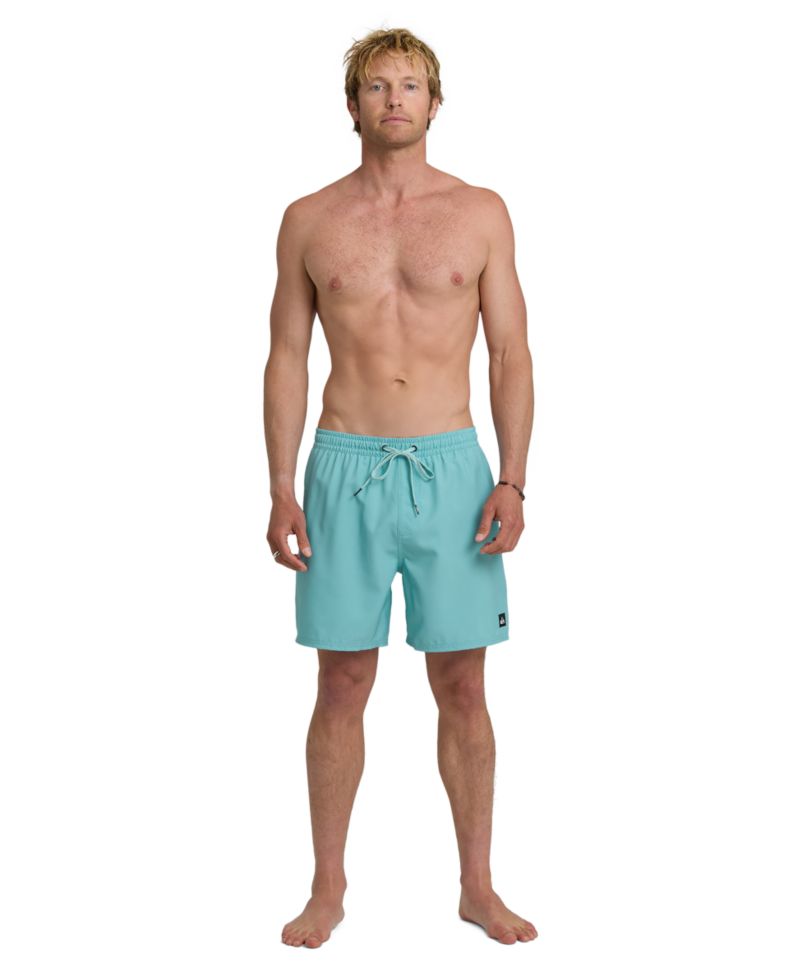 Men's Everyday Swim Shorts