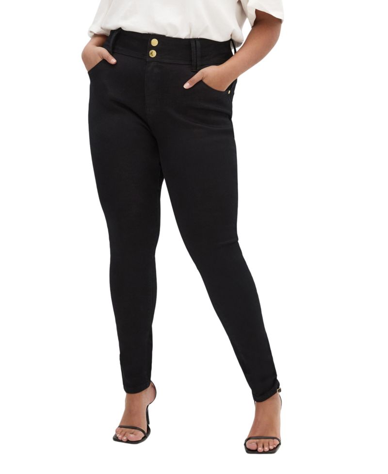 Plus Size Asha Fit Skinny Leg Regular Jean