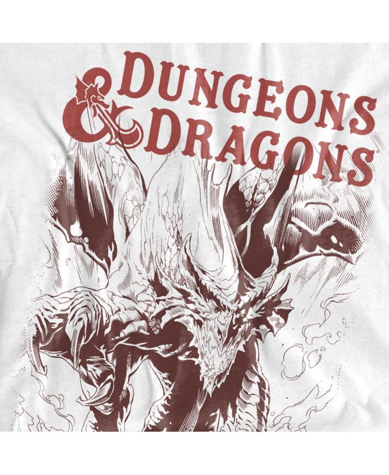 Big & Tall Dungeons and Dragons Striking Dragon T-Shirt