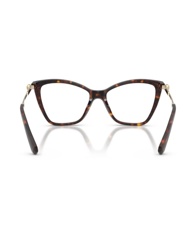 Woman Cat Eye Plastic SK2051 Eyeglasses