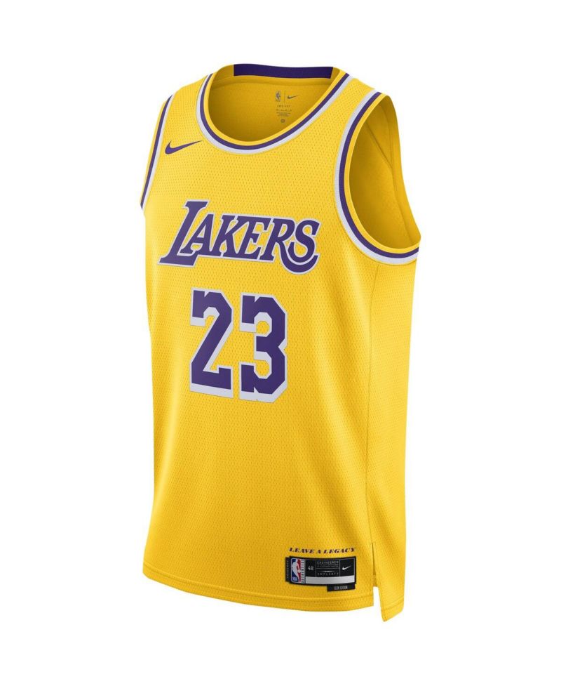 Men's and Women's LeBron James Los Angeles Lakers Swingman Jersey