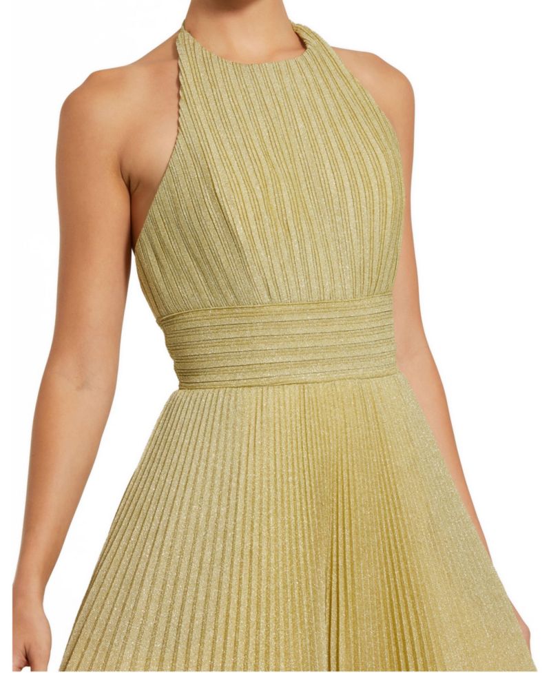 Women's Shimmering Pleated Georgette High Neck Gown