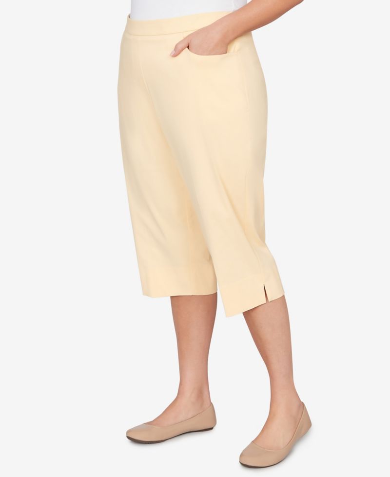 Plus Size Classic Pastel Millenium Allure Clamdigger Pants