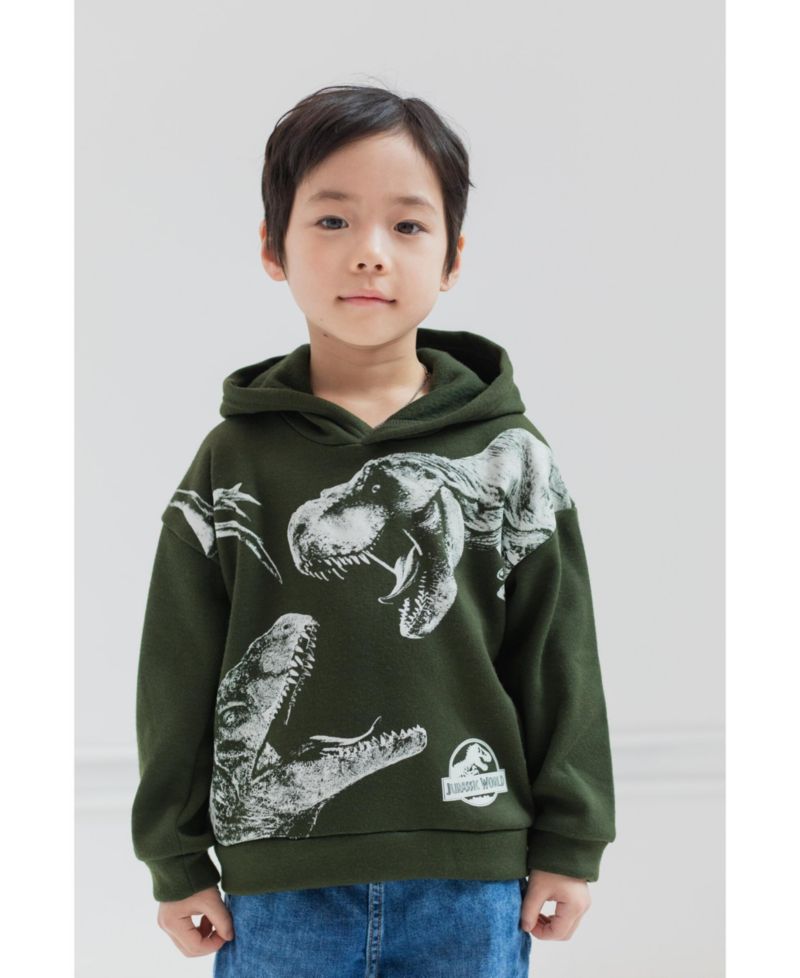 Toddler Boys Dinosaur T-Rex Fleece Pullover Hoodie to